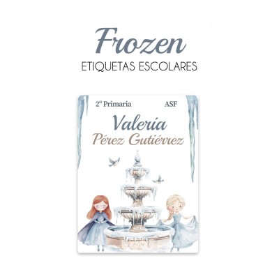Pack Premium Ropa, Zapatos y Escuela Frozen
