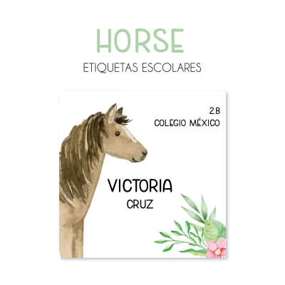 Escuela Adheribles Horses