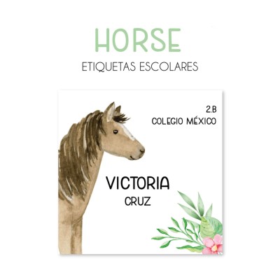 Pack Premium Ropa, Zapatos y Escuela Horses Pack Premium Ropa, Zapatos y Escuela Horses