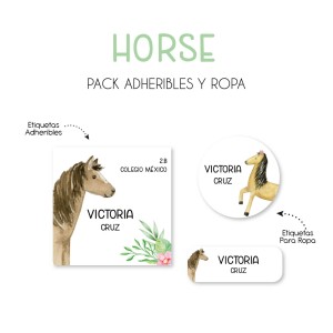 Pack Ropa y Escuela Horses