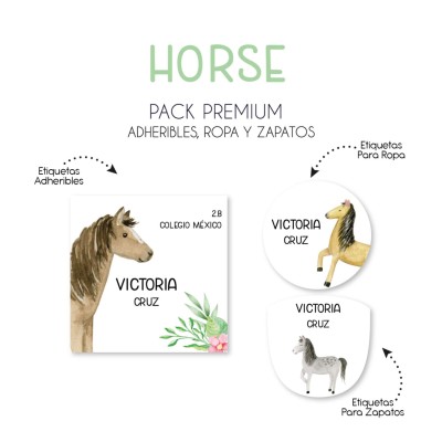 Pack Premium Ropa, Zapatos y Escuela Horses