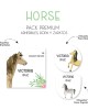 Pack Premium Ropa, Zapatos y Escuela Horses