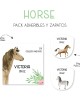 Pack Escuela y Zapatos Horses| Pack Adheribles y Zapatos