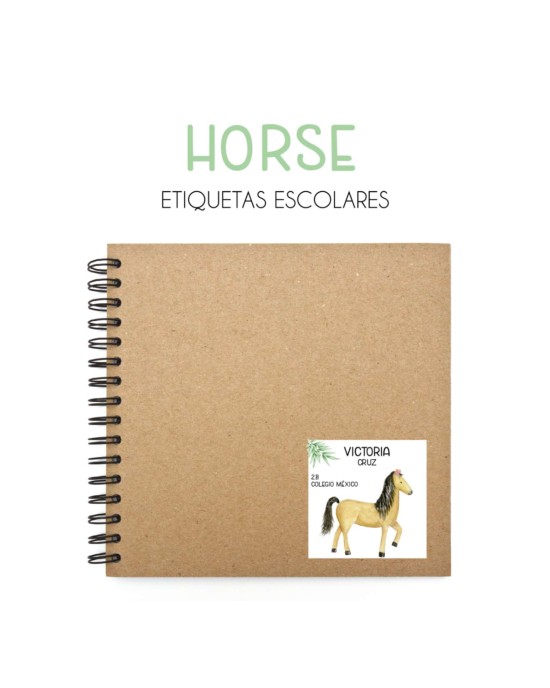Pack Premium Ropa, Zapatos y Escuela Horses
