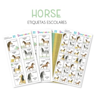Escuela Adheribles Horses Escuela Adheribles Horses