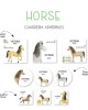 Guarderia Horses| Etiquetas Para Guarderia