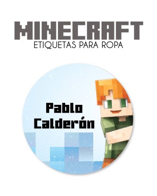 Ropa Minecraft