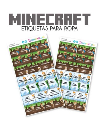 Ropa Minecraft