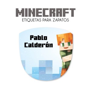 Zapato Minecraft