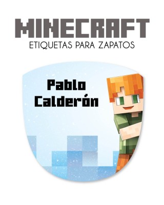 Zapato Minecraft