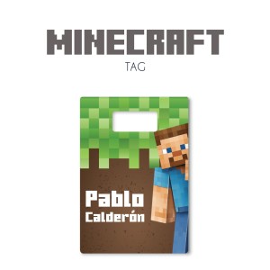 Tag Minecraft