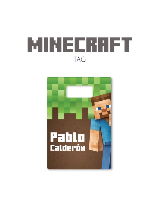 Tag Minecraft| Bag Tags