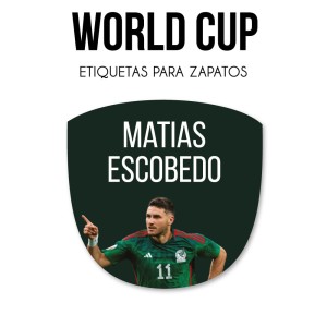 Zapato World Cup