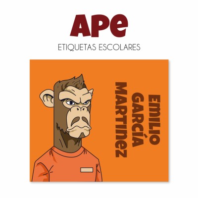 Pack Premium Ropa, Zapatos y Escuela Ape