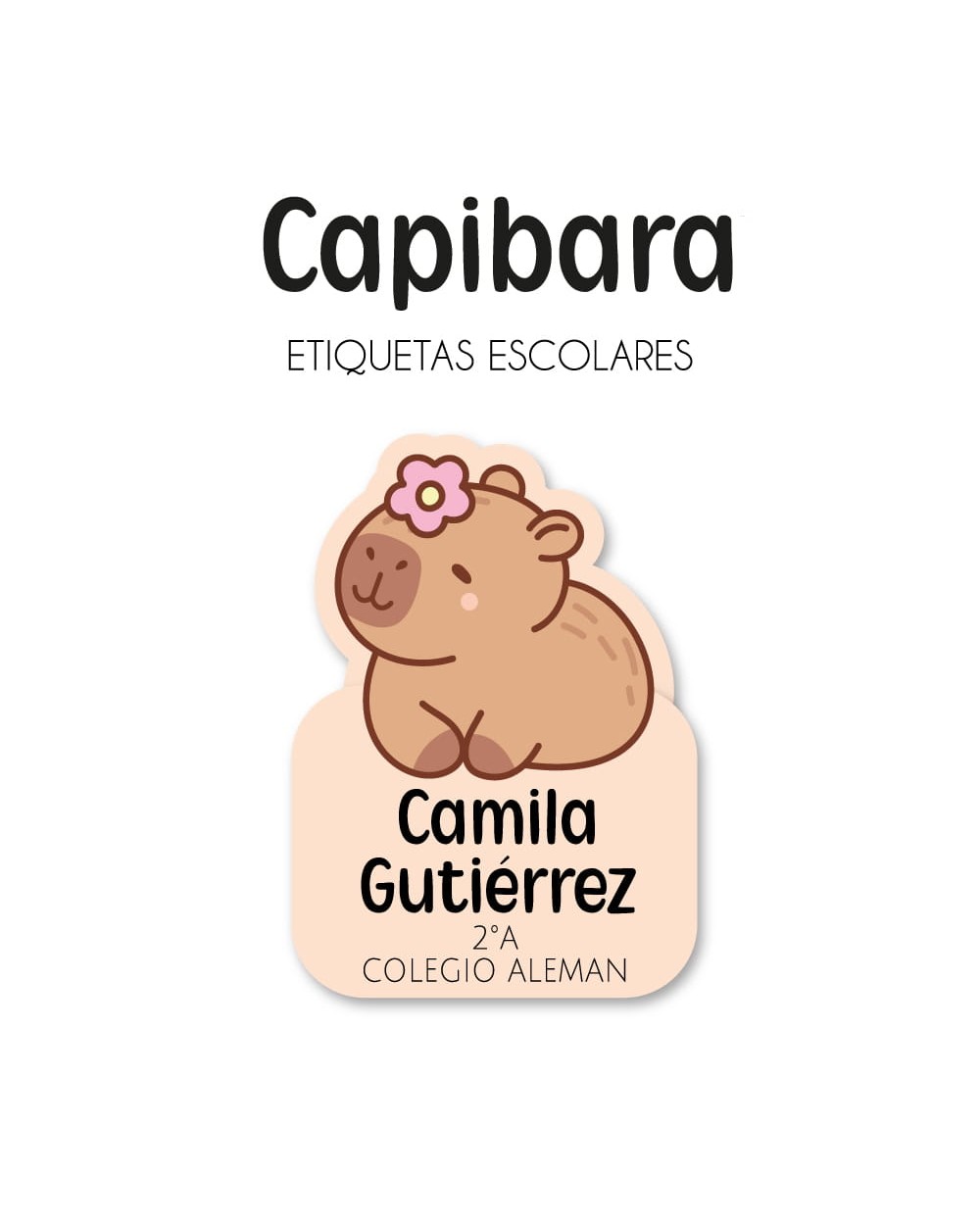 Pack Premium Ropa, Zapatos y Escuela Capibara Pack Premium Ropa, Zapatos y Escuela Capibara