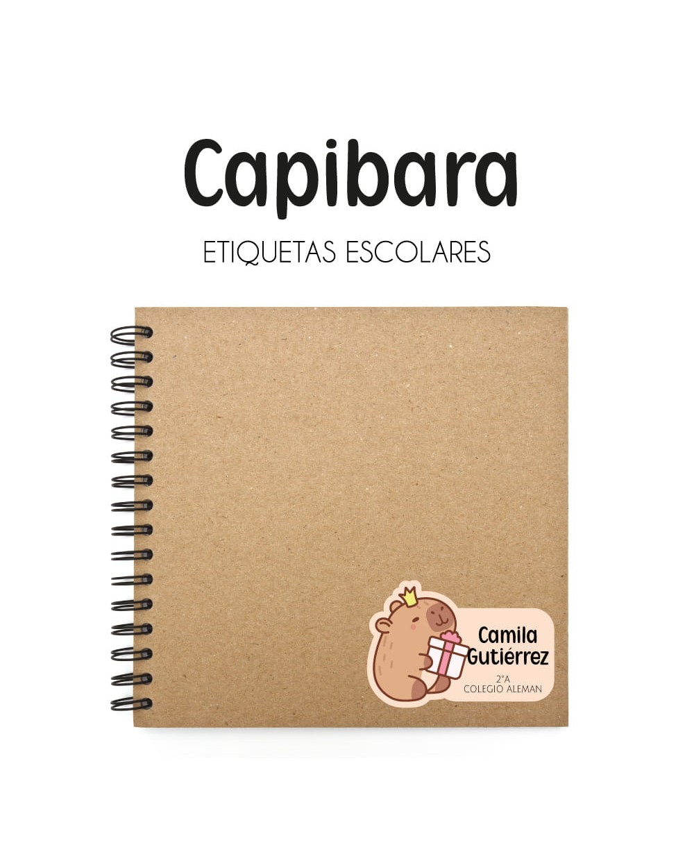 Pack Premium Ropa, Zapatos y Escuela Capibara Pack Premium Ropa, Zapatos y Escuela Capibara
