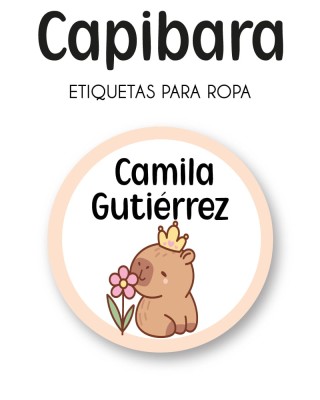 Pack Ropa y Zapatos Capibara