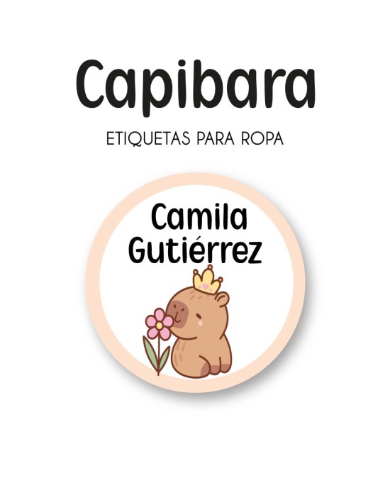 Pack Back to School Capibara-Pack Back To School