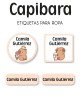 Pack Back to School Capibara-Pack Back To School