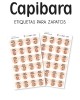 Paquete de etiquetas para Zapato Capibara