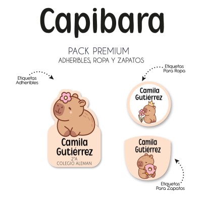 Pack Premium Ropa, Zapatos y Escuela Capibara