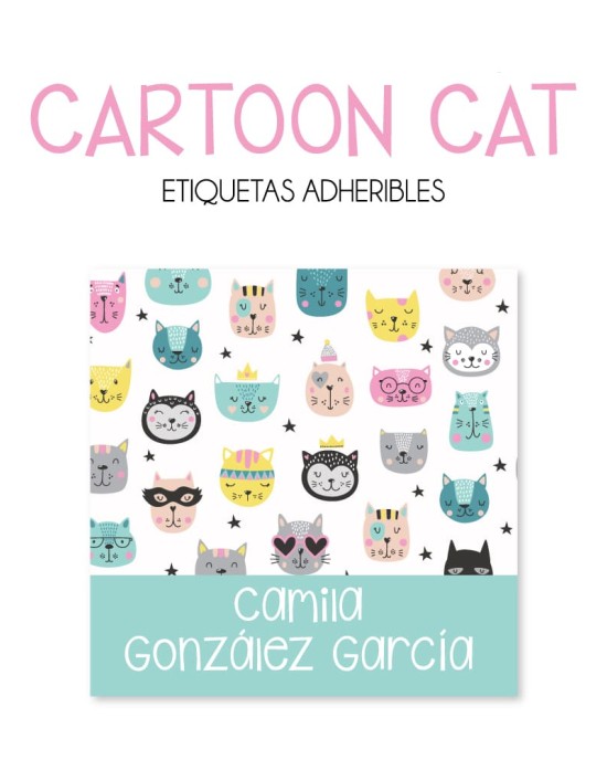 Pack Premium Ropa, Zapatos y Escuela Cartoon Cat