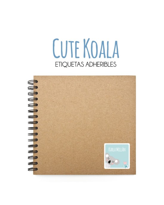 Pack Escuela y Zapatos Cute Koala | Pack Adheribles y Zapatos