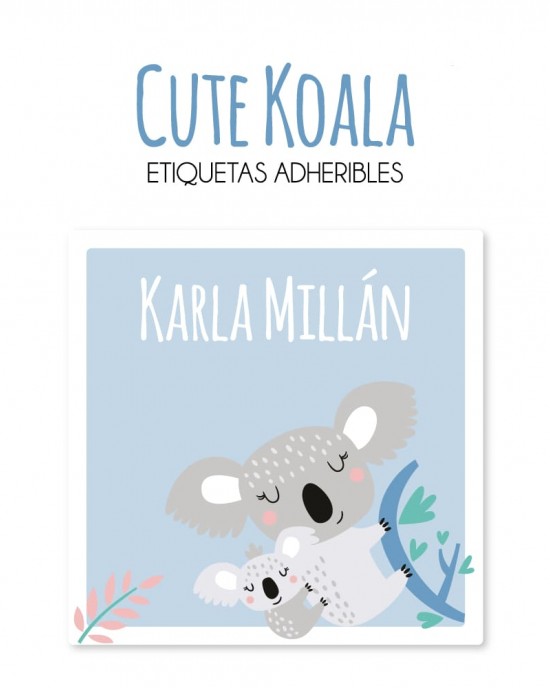 Pack Premium Ropa, Zapatos y Escuela Cute Koala | Pack Premium