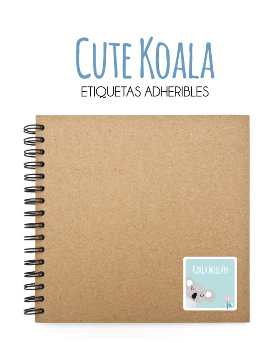 Pack Premium Ropa, Zapatos y Escuela Cute Koala