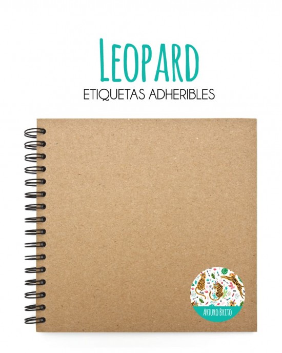 Pack Escuela y Zapatos Leopard | Pack Adheribles y Zapatos