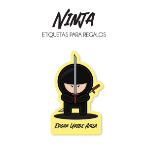 Regalo Ninja Regalo Ninja