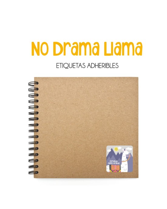 Pack Escuela y Zapatos No Drama Llama | Pack Adheribles y Zapatos