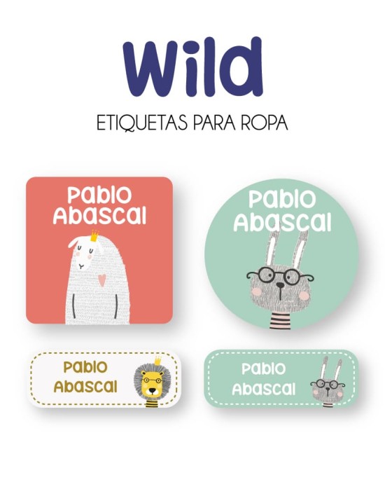 Pack Premium Ropa, Zapatos y Escuela Wild