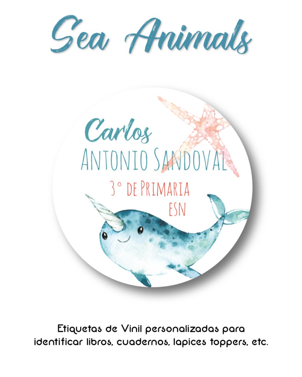 Pack Escuela y Zapatos Sea Animals | Pack Adheribles y Zapatos Pack Escuela y Zapatos Sea Animals | Pack Adheribles y Zapatos