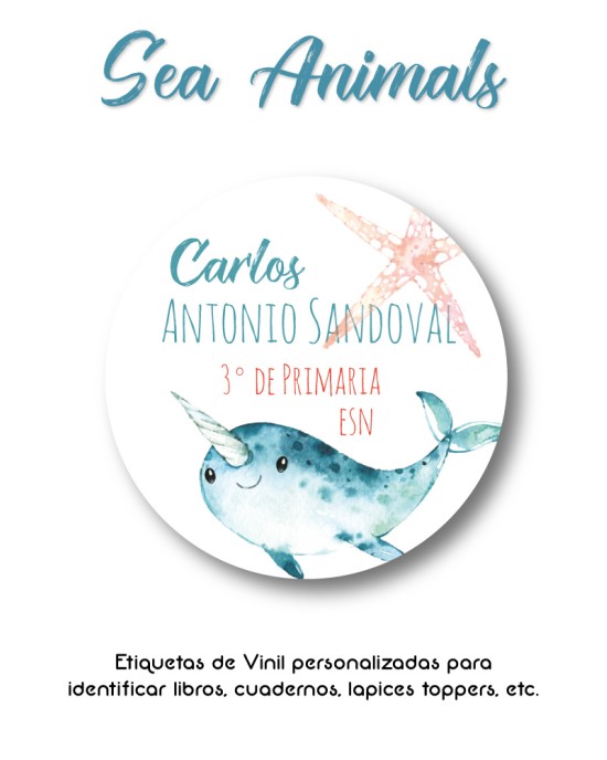 Pack Escuela y Zapatos Sea Animals | Pack Adheribles y Zapatos