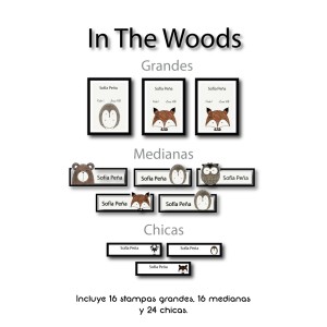 Guarderia In The Woods