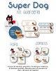 Kit Guarderia Super Dog | Pack Guarderia