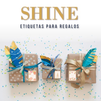 Regalo Shine Regalo Shine